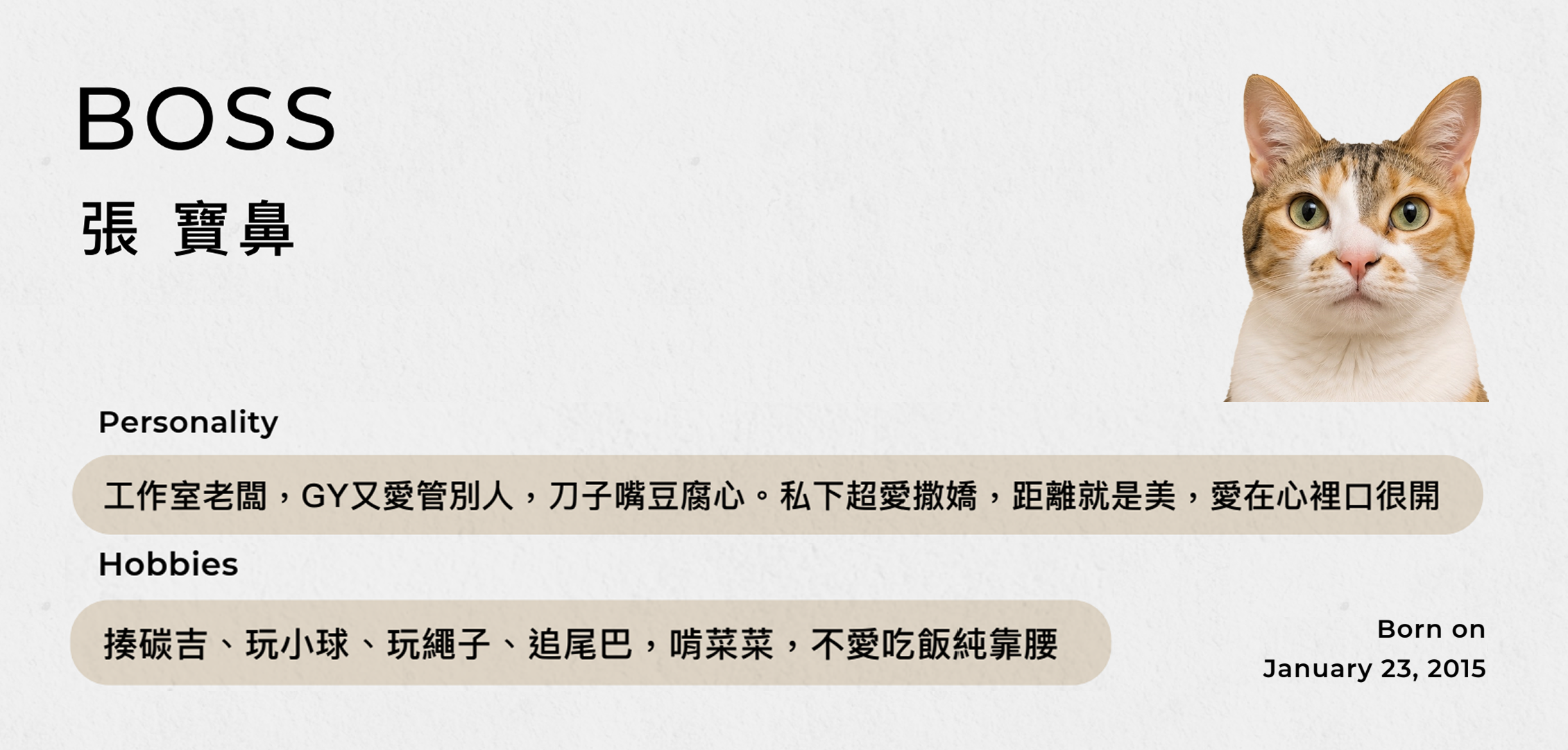 店長BOSS REAL