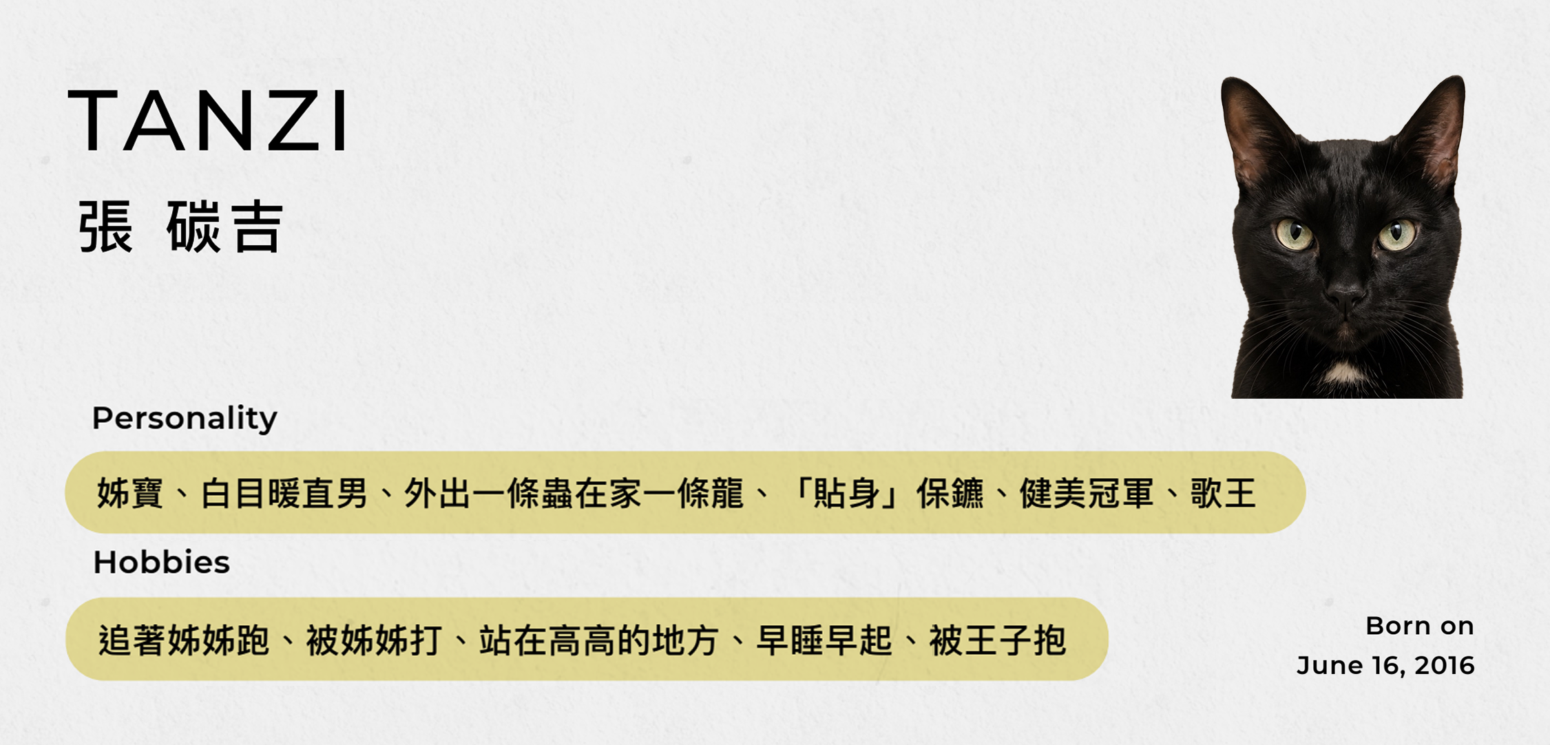 店長TANZI REAL